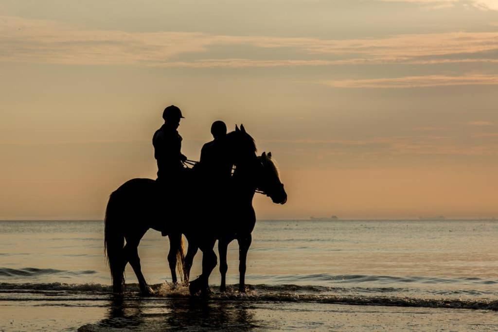 Katwijk aan Zee Hoekje Up מראה חיצוני תמונה