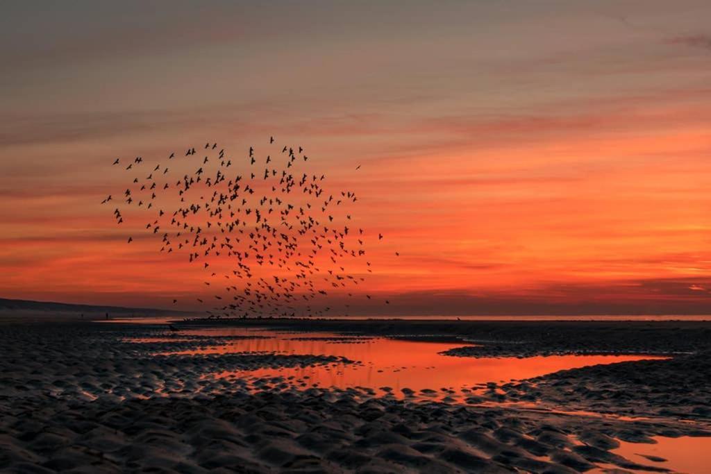 Katwijk aan Zee Hoekje Up מראה חיצוני תמונה